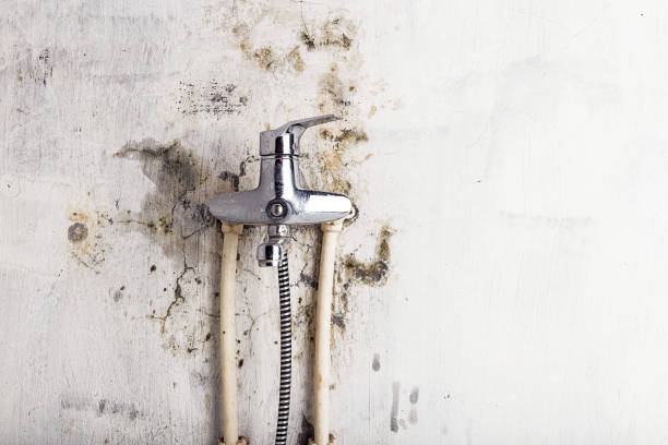 Best Post-Flood Mold Remediation in Runaway Bay, TX