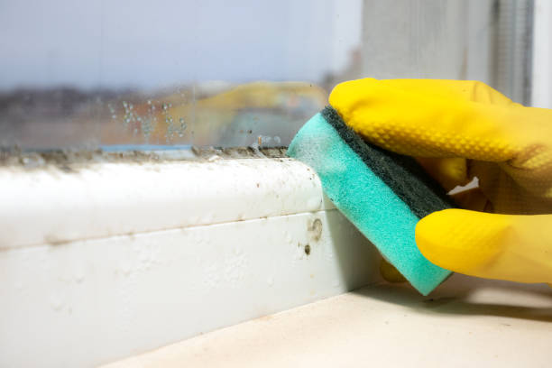 Best Bathroom Mold Remediation in Runaway Bay, TX